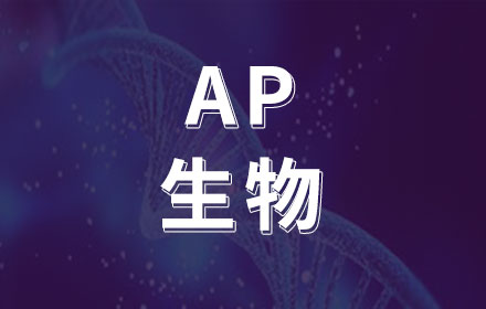 AP生物课程辅导培训